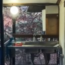 석현리 | 봉화 숲속 힐링캠핑 각화산캠핑장 솔직후기 (애견동반·독립존 추천)