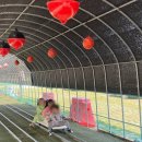 보성매점 - 보성군 녹색로 4816-15 | 보성매점
