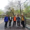 우정의원 이미지