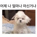 우리하숙 이미지