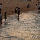 37.2도 연합뉴스
