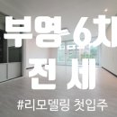 부영베스트공인중개사사무소 이미지