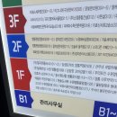 아이 솜 래쉬 | [수원]솜이네 롱데이래쉬펌 후기 — 연장+펌 동시 시술!