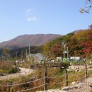 참숯가마골랜드 이미지