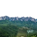 옛길 플라워 | 속초 울산바위뷰 카페 추천 – 델피노 더엠브로시아카페 감성 후기