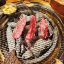 도우담725 이미지