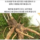 내촌리 이미지