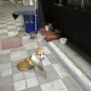 몬도블루 이미지