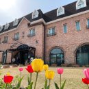 키즈리베 이미지