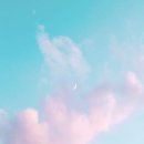 제이유 이미지