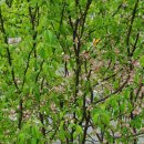 준안과의원 이미지