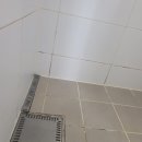 도시공사1단지아파트경로당 | 하남 줄눈 시공 업체 망월동 미사강변도시 17단지 공사 하남시 후기