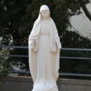 건축사사무소 반석 이미지