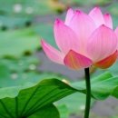광선교회 앞 네이버블로그