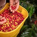 점진농장 | 스마트팜 설치비용 5분만에 조회! 총정리 가이드