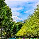 보라매공원 이미지