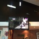 개포별빛동물병원 이미지