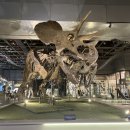 국립중앙과학관 이미지