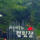 자연속캠핑장 | 서울대공원캠핑장 후기, 자연 속 힐링 캠핑. 명당자리추천, 캠핑꿀템추천 !
