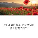 강변포구길 | 전국 양귀비 명소 추천 - 위치, 교통편 방문 꿀팁 완벽 가이드