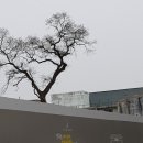 번영카센타 이미지