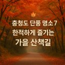 제천산림조합 | 🍂 충청권 숨은 단풍명소 7곳 | 사람 많지 않고 한적하게 단풍 즐기기 좋은 곳만 골랐어요