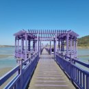(주)더블화이트
