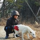 또나들이 이미지