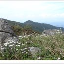 소백산매점