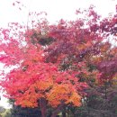 강동로5-4 이미지