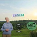 에코테크놀로지 이미지