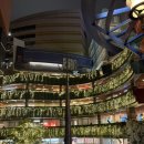 라니키즈스포츠 태권도장 | 캐널시티 하카타 알펜 후쿠오카 쇼핑후기