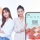 세종비디오