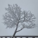 더하얀세상 이미지