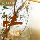 부흥닭집 네이버블로그