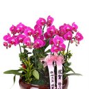 교동택지주유소 이미지