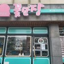 펫살롱 꽃단장 이미지