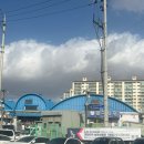 월곡시장 | 광주맛집 월곡시장 사또왕족발 머릿고기 내돈내산 솔직후기