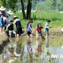 자연의향기 이미지