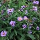 산북정원 이미지