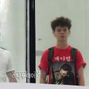 개아범 이미지