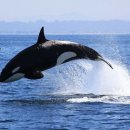 수영PC방 이미지