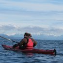 나무호텔 이미지