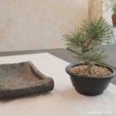 해송가든 이미지