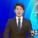 히얼(here) 네이버블로그