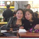 평촌일번가 문화의거리 이미지