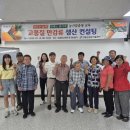 만감