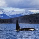 (주)스마트인사이드 이미지