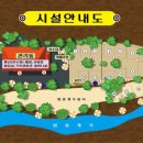 파라다이스캠프