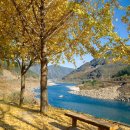 국도19호선 이미지